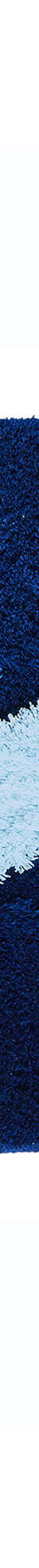 Tapis de bain pétales (bleu) Tapis de bain pétales (bleu)